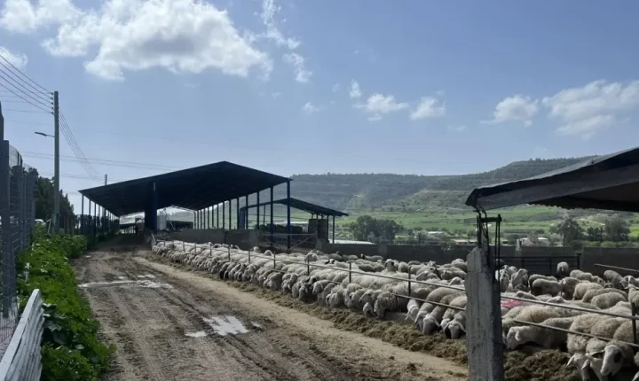 Αφθώδης πυρετός: Αυξάνονται οι μολυσμένες μονάδες - Έφτασαν τις 75